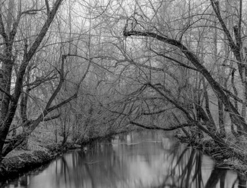 Winter Light, 200 South, Salt Lake City, UT, 2005 © Tillman Crane