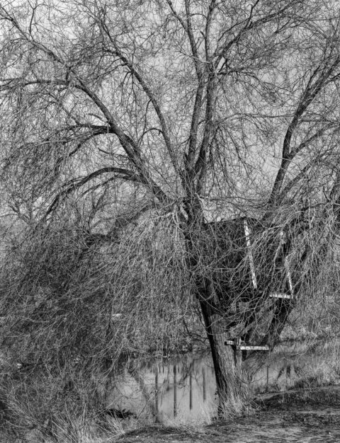 Lost Tree House, Urban Tree House Park, Salt Lake City, UT, 2005 © Tillman Crane