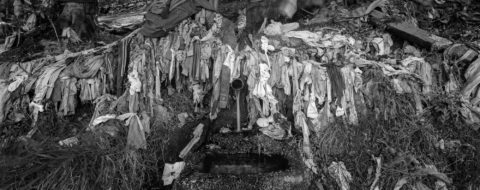 Clootie Well, Tore, Black Isle, 2003 - © Tillman Crane