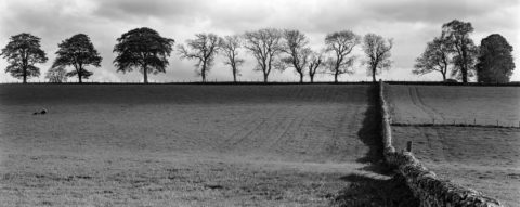 Near Dornoch Firth, Easter, Ross, 2004 - © Tillman Crane