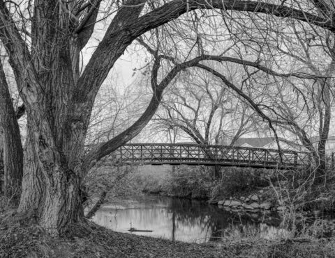 Pedestrian Bridge, Constitution Park, Salt Lake City, UT, 2005 © Tillman Crane