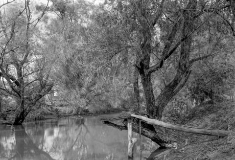 Diving Board, 200 South, Salt Lake City, UT, 2008 © Tillman Crane