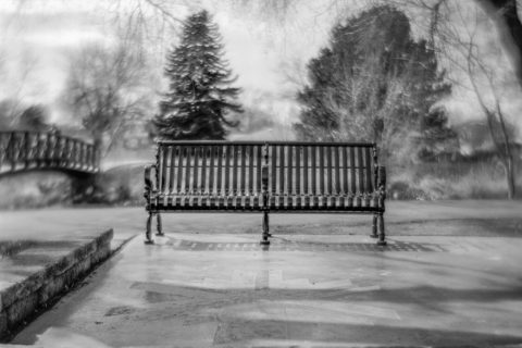 Olympic Bench, Northwest Center Park, Salt Lake City, UT, 2006 © Tillman Crane