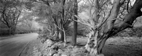 Near Killiechronan, Mull, Argyll, 2003 - © Tillman Crane
