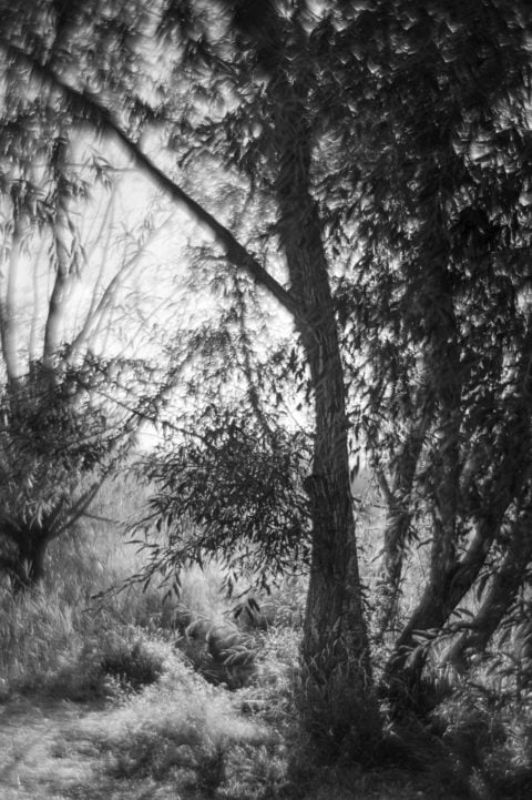 Near Sunset, Germania Park, Murray, UT, 2008 © Tillman Crane