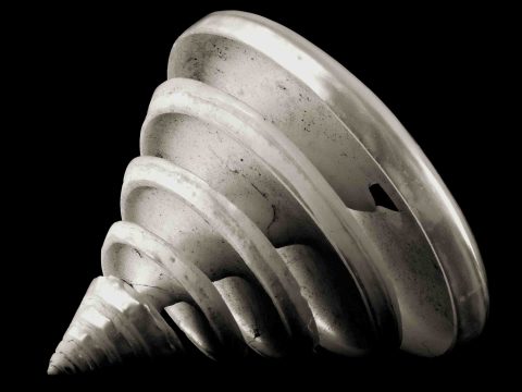 2024-03-Whirl-About-(Tim’s-Shell)