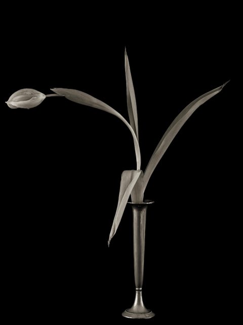 2024-04-Taking-a-Bow-II