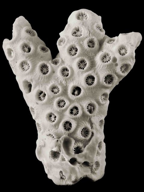 2024-10-Here-Comes-the-Sun