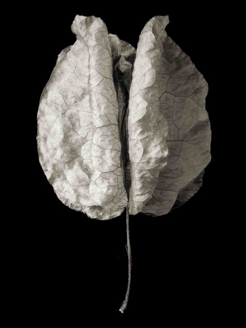 2024-11-Textured-Light