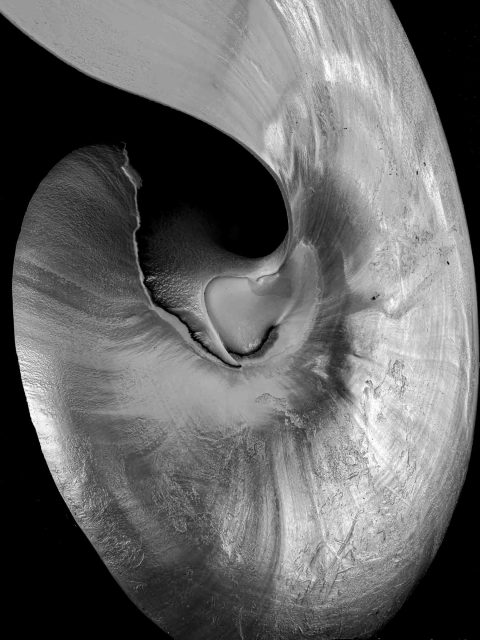 2024-17-In-the-Beginning