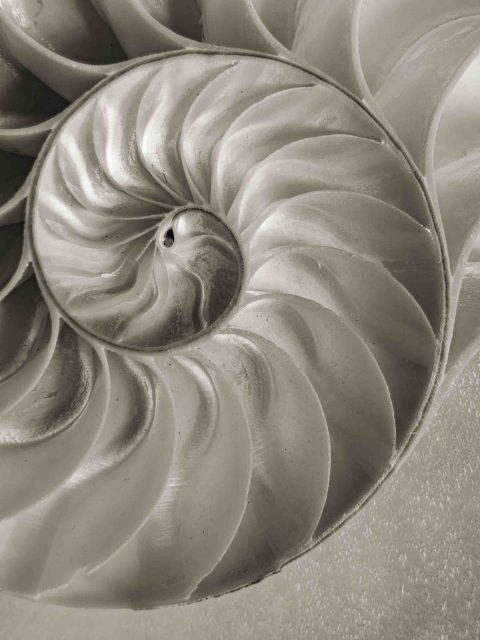 2024-22-Whirligig-(Naut-Detail)