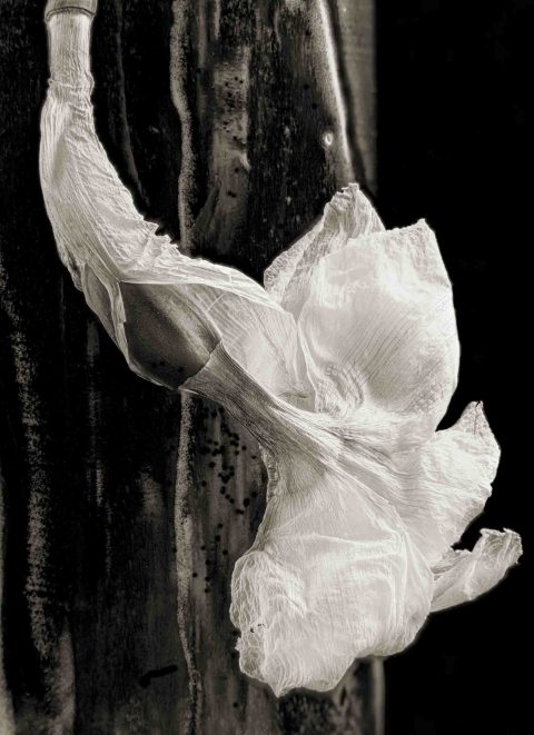 21-03-Apologies-to-Andre–ME-2020