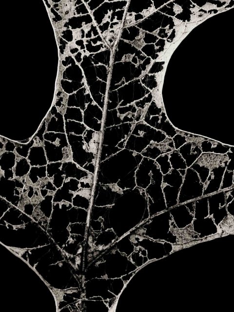 21-05-Remnant–ME–2020