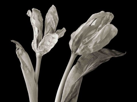 21-10-One-sided-Conversation–ME–2021