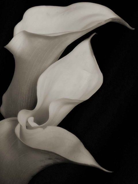 23-01-Three-of-a-Kind