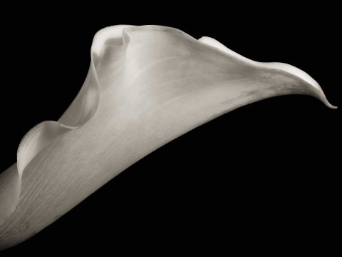 23-03-Waiting-for-Love