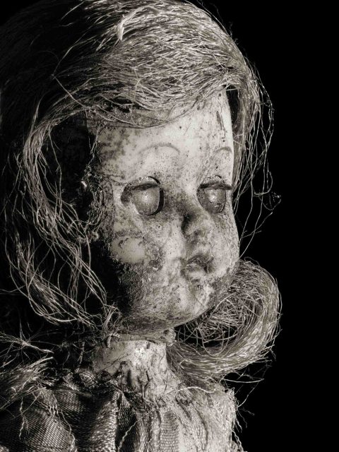 Blue-Eyed-baby–ND-2022