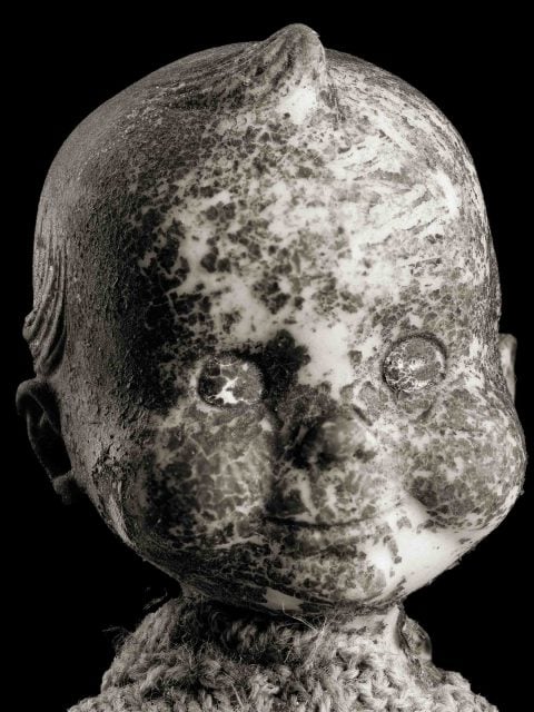 Gerber-Baby-(I)-ND-2023