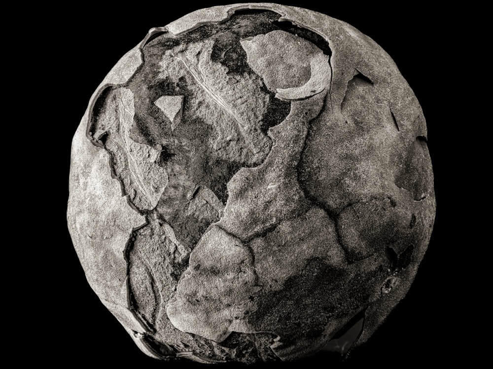 2025-16-A-Different-World-Cypress-Seed