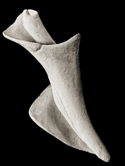 2025-20-Olympian-(Shell-2)