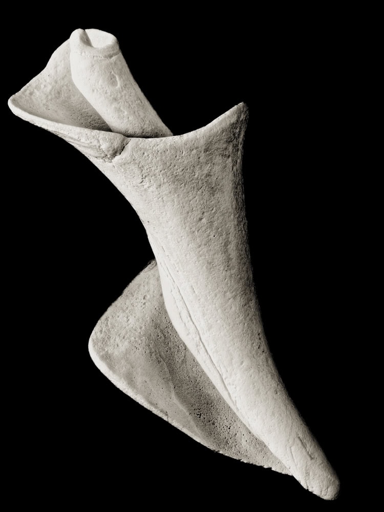 2025-20-Olympian-(Shell-2)